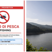 Osiglia, scatta il divieto di pesca dopo la moria di carpe: trovato il virus KHV Osiglia, scatta il divieto di pesca dopo la moria di carpe: trovato il virus KHV