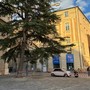 Savona, transennato il cedro in piazza Duomo. Parodi: "Avviate verifiche sulla salute della pianta" Savona, transennato il cedro in piazza Duomo. Parodi: "Avviate verifiche sulla salute della pianta"
