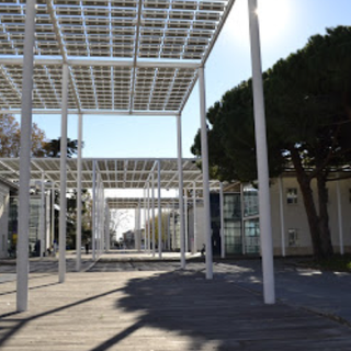 Savona, SPES a rischio chiusura e IPS verso lo smantellamento. Il PD: "Città in vendita"