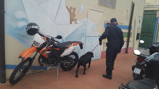 Operazioni antidroga nelle scuole finalesi: controlli dei Carabinieri all'Ipsia