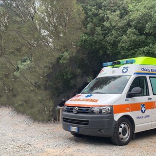 Immagine di repertorio