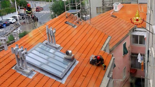 Vado Ligure: vigili del fuoco salvano un piccione in una grondaia Vado Ligure: vigili del fuoco salvano un piccione in una grondaia