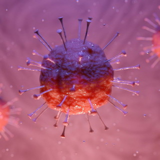 Coronavirus, sono 13 i nuovi positivi in Liguria: gli attualmente positivi scendono sotto quota mille