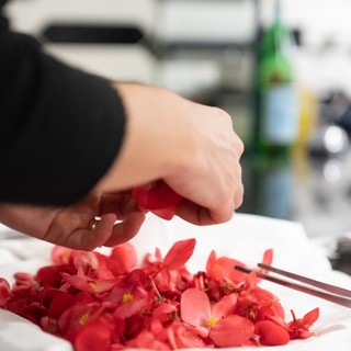 Un esercito di appassionati di cucina coi fiori pronto a popolare Alassio: dal 12 al 15 aprile un Festival tutto da mangiare, riconoscere e catturare con un clic