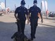 Alassio: pattugliamento del weekend di ferragosto dei Carabinieri con ausilio di unità cinofile Alassio: pattugliamento del weekend di ferragosto dei Carabinieri con ausilio di unità cinofile