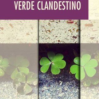 Savona, alla Ubik lo scrittore Fabio Balocco presenta il suo libro "Verde clandestino"