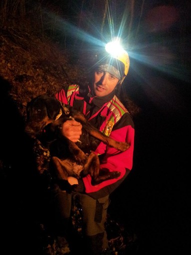 Immagini del ritrovamento di Kira