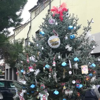 Albenga: il Comitato di Vadino valorizza il quartiere con l'albero di Natale