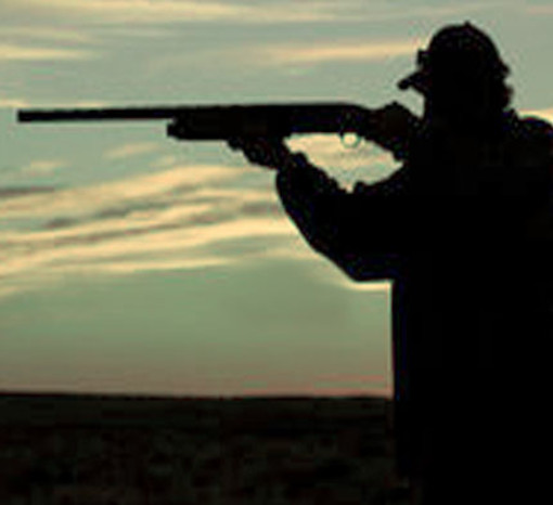 Tar Liguria: una condanna per peculato non fa venir meno il diritto di detenere un'arma Tar Liguria: una condanna per peculato non fa venir meno il diritto di detenere un'arma