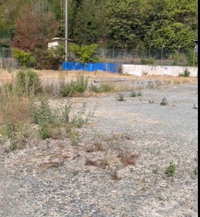 Ex campo Pino Ferro di Varazze, previsti 70 parcheggi pubblici e nuovo verde