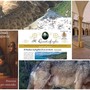 Storia, cultura e natura: l'estate dell'Associazione Emanuele Celesia porta eventi dal Finalese al Piemonte