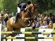 Un talento dell'equitazione abita a Finale: Il ragazzo che sussurra ai cavalli