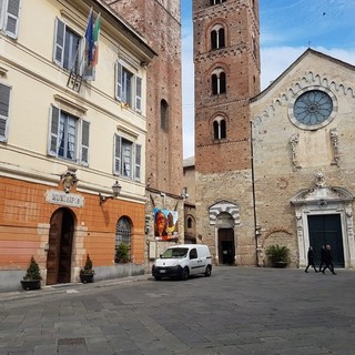 Taglio delle magnolie in via Trieste ad Albenga, l'amministrazione replica al consigliere Distilo: "Agire diversamente sarebbe stato un intervento fatto male"