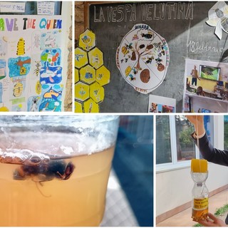 Educare per proteggere l’ambiente: l’Istituto Comprensivo di Pietra Ligure contro i pericoli della Vespa Velutina (VIDEO)