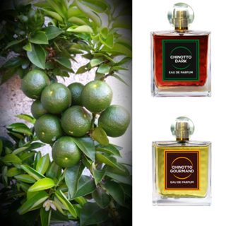 Continua il percorso del Chinotto tra eventi di arte e cultura a Savona