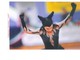 Successo per l'atleta di Millesimo Chiara Bussi nel Campionato italiano di pattinaggio artistico Successo per l'atleta di Millesimo Chiara Bussi nel Campionato italiano di pattinaggio artistico