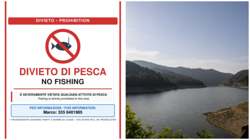 Osiglia, scatta il divieto di pesca dopo la moria di carpe: trovato il virus KHV Osiglia, scatta il divieto di pesca dopo la moria di carpe: trovato il virus KHV