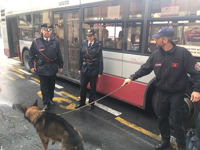 Controlli dei carabinieri su autobus e fermate, TPL: "Per noi questi interventi sono preziosizzimi"