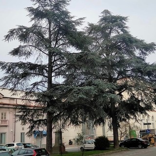 Foto pagina Facebook &quot;Le Rive della Bormida (immagini di Cairo e dintorni)&quot;