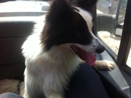 Immagine di repertorio