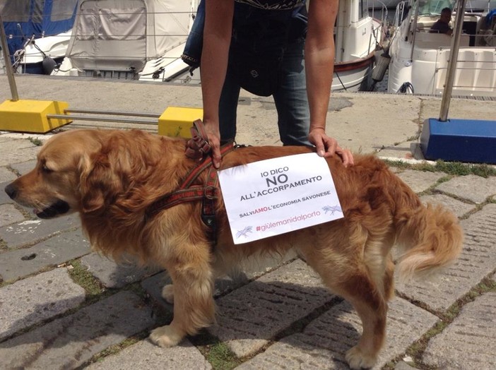 #giùlezampedalportodiSavona