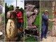Ferrania, un museo all'aperto dove gli alberi abbattuti riprendono vita e diventano sculture