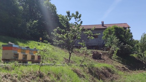 La riserva naturale dell’Adelasia celebra la Giornata Europea dei Parchi con le nuove api posizionate a Cascina Miera La riserva naturale dell’Adelasia celebra la Giornata Europea dei Parchi con le nuove api posizionate a Cascina Miera