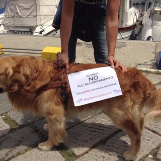 #giùlezampedalportodiSavona