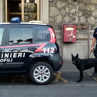 Controlli dei carabinieri della compagnia di Alassio sui bus: due studenti trovati con la droga