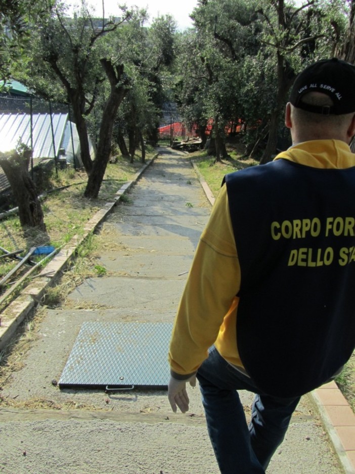 Bloccato dalla Forestale un traffico illegale di tartarughe protette, tutto partiva da Savona Bloccato dalla Forestale un traffico illegale di tartarughe protette, tutto partiva da Savona