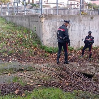 Omicidio di Ceriale, molestie ad una donna come movente: strangolato dal collare di un cane Omicidio di Ceriale, molestie ad una donna come movente: strangolato dal collare di un cane