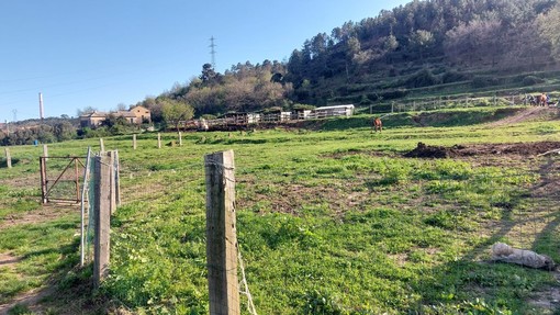 Terreno in località Casina dove è previsto il posizionamento del Pde Terreno in località Casina dove è previsto il posizionamento del Pde