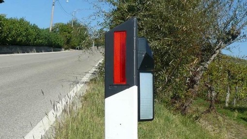 Incidenti con la fauna selvatica, OSA: "Esistono sistemi per evitarli: i Comuni li installino" Incidenti con la fauna selvatica, OSA: "Esistono sistemi per evitarli: i Comuni li installino"