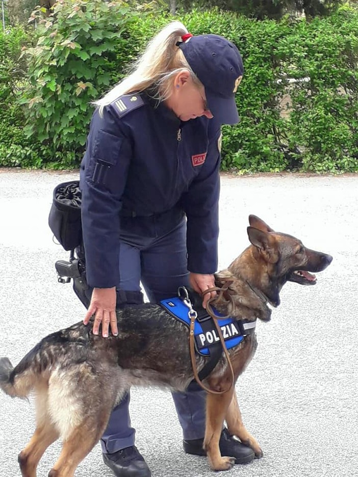 Altare, esercitazione dell'unità cinofila della polizia di stato nella scuola Aldo Capasso