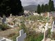 Savona, approvato in giunta il progetto definitivo per l'ampliamento del cimitero di Zinola