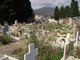 Savona, approvato in giunta il progetto definitivo per l'ampliamento del cimitero di Zinola Savona, approvato in giunta il progetto definitivo per l'ampliamento del cimitero di Zinola