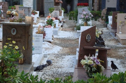 Il cimitero di Leca d'Albenga