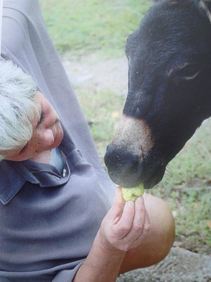 "Il cuore degli Asinelli",una fattoria didattica il cui progetto che prenderà piede ad Ortovero