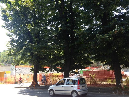 Attacco dei Verdi savonesi alla giunta Caprioglio sulla tutela del verde