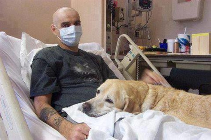 Anche gli animali domestici entrano in ospedale, il caso al San Paolo di Savona Anche gli animali domestici entrano in ospedale, il caso al San Paolo di Savona