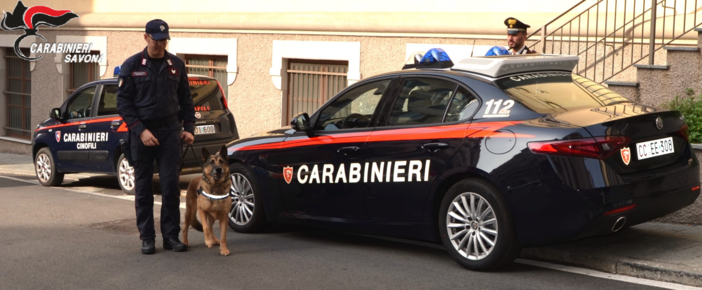 I carabinieri a scuola con l'unità cinofila, sevizio di prevenzione antidroga a Savona (FOTO) I carabinieri a scuola con l'unità cinofila, sevizio di prevenzione antidroga a Savona (FOTO)