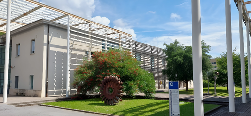 AVS Savona: “Università privata per Medicina e Fisioterapia in Liguria, una scelta che tradisce l'interesse pubblico”