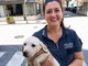 Sei cani soccorsi in un'abitazione a Savona dopo una segnalazione: intervento della polizia locale e del servizio veterinario Sei cani soccorsi in un'abitazione a Savona dopo una segnalazione: intervento della polizia locale e del servizio veterinario