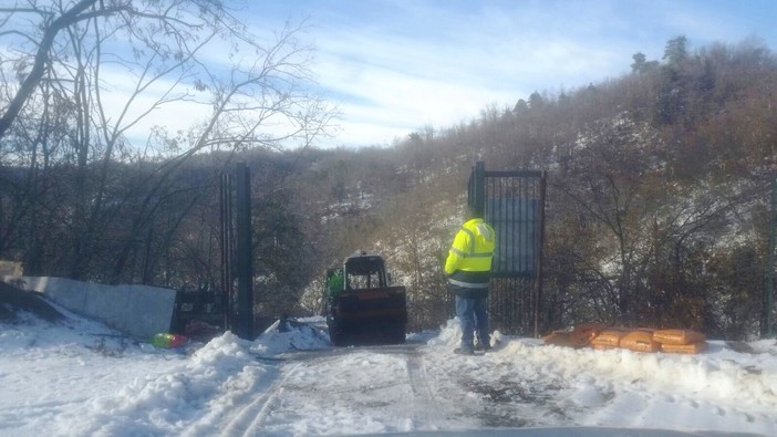 Strage di alberi al Cadibona, disagi anche per il rifugio della Protezione Animali Strage di alberi al Cadibona, disagi anche per il rifugio della Protezione Animali