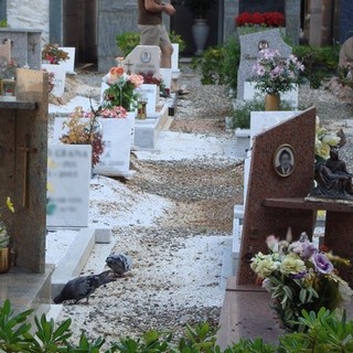 Il cimitero di Leca d'Albenga