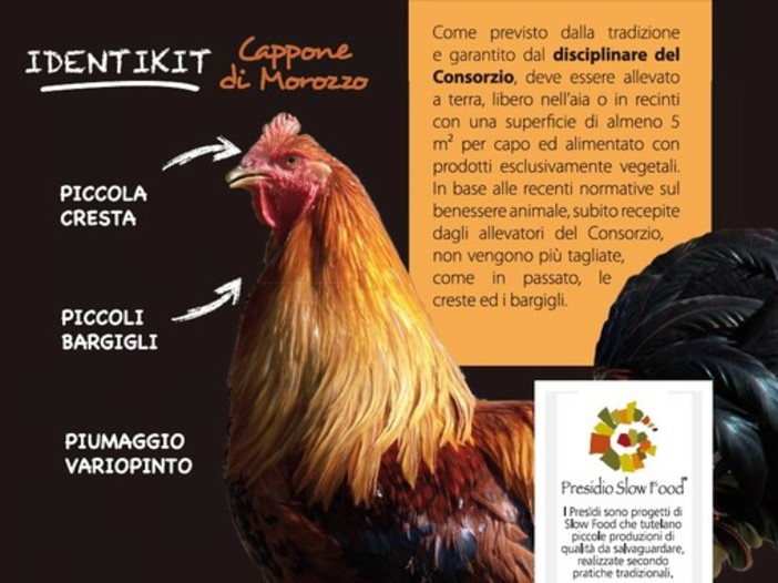 Il “Cappone di Morozzo” - Primo Presidio Slow Food da 15 anni è legato ad un eccellenza gastronomica del cuneese