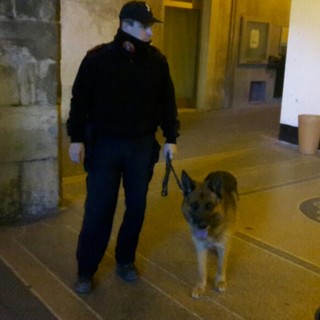 Spaccio nelle scuole, arrestato uno studente a Savona