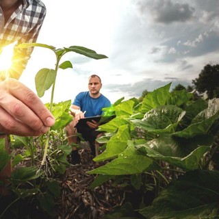Agroalimentare: l’UE mette in campo 160 milioni per la promozione globale