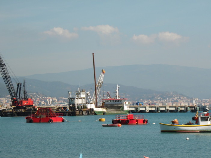 Savona, l'assessore Santi: "A breve commissione consiliare su Maersk"