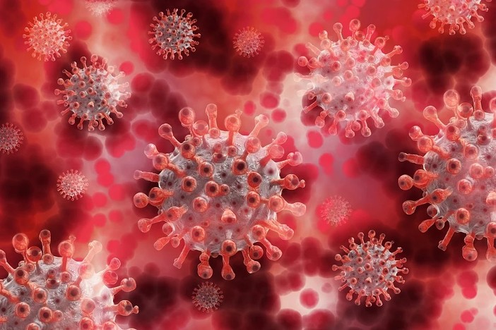 Covid19, solo il 4,65% dei test positivi (235): nel savonese 80 nuovi casi, calano gli ospedalizzati (-7) Covid19, solo il 4,65% dei test positivi (235): nel savonese 80 nuovi casi, calano gli ospedalizzati (-7)